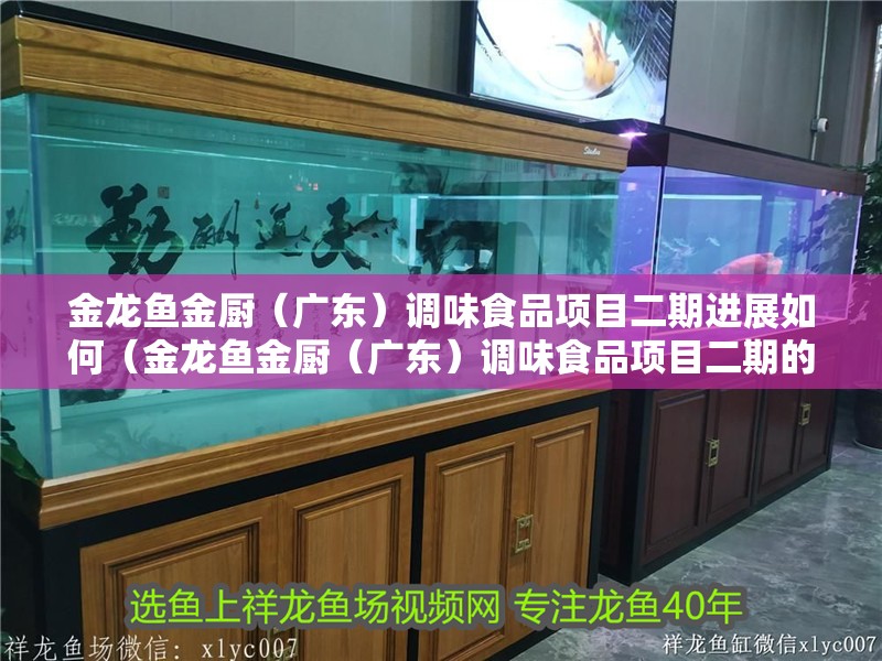 金龍魚金廚（廣東）調味食品項目二期進展如何（金龍魚金廚（廣東）調味食品項目二期的進展）