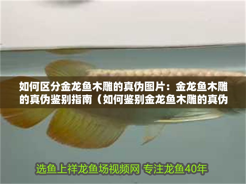 如何區分金龍魚木雕的真偽圖片：金龍魚木雕的真偽鑒別指南（如何鑒別金龍魚木雕的真偽）