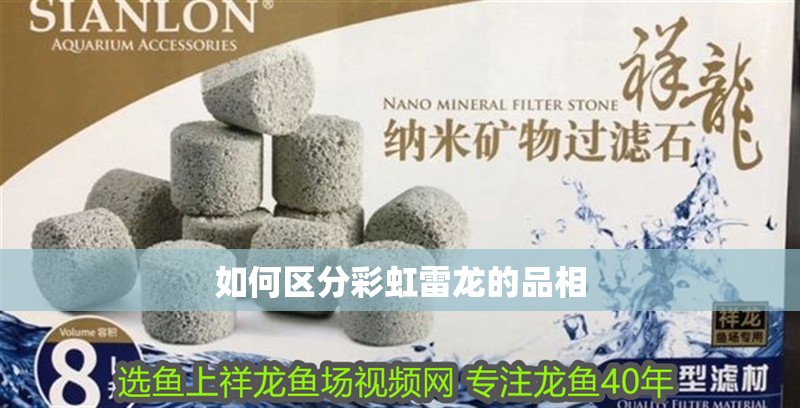 如何區分彩虹雷龍的品相