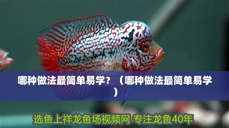 哪種做法最簡單易學？（哪種做法最簡單易學）