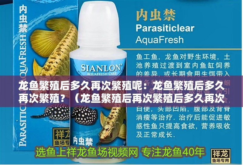 龍魚繁殖后多久再次繁殖呢：龍魚繁殖后多久再次繁殖？（龍魚繁殖后再次繁殖后多久再次繁殖龍魚再次繁殖時(shí)間）