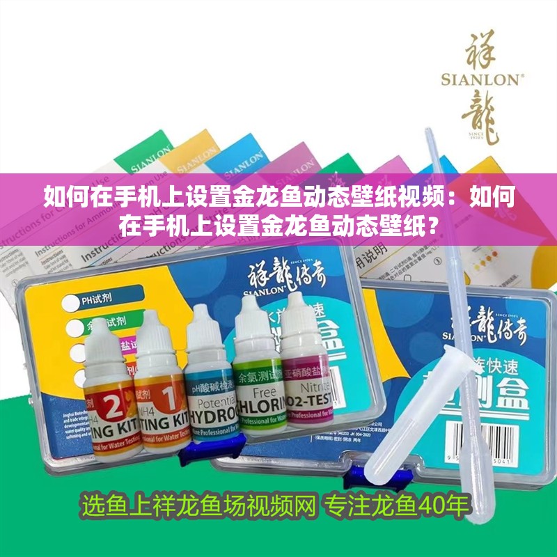 如何在手機(jī)上設(shè)置金龍魚動(dòng)態(tài)壁紙視頻：如何在手機(jī)上設(shè)置金龍魚動(dòng)態(tài)壁紙？ 如何在手機(jī)上設(shè)置金龍魚動(dòng)態(tài)壁紙視頻：如何在手機(jī)上設(shè)置金龍魚動(dòng)態(tài)壁紙？ 水族問答