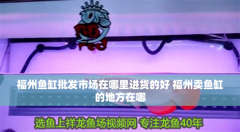 我的虎魚真菌感染了要怎么處理 福州魚缸批發市場在哪里進貨的好 福州賣魚缸的地方在哪 觀賞魚百科 福州魚缸批發市場在哪里進貨的好 福州賣魚缸的地方在哪 福州魚缸批發市場在哪里進貨的好 福州賣魚缸的地方在哪 觀賞魚百科