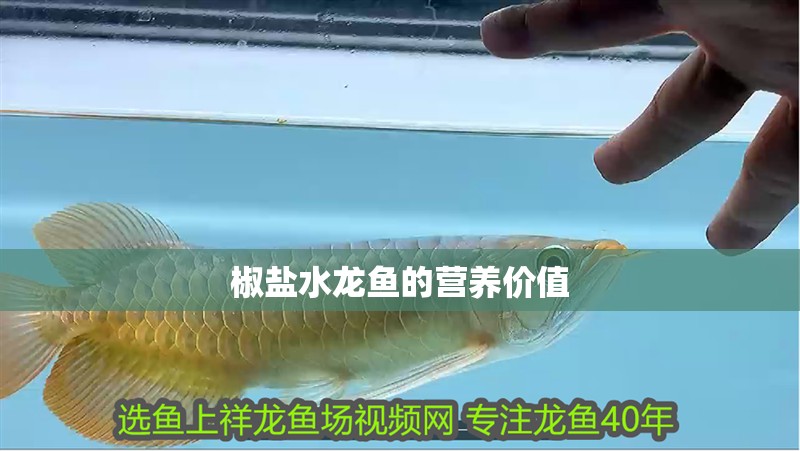 椒鹽水龍魚的營養價值