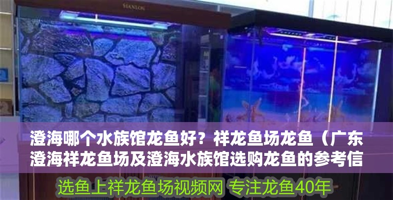 <strong><mark>澄海</mark></strong>哪個水族館龍魚好？祥龍魚場龍魚（廣東<strong><mark>澄海</mark></strong>祥龍魚場及<strong><mark>澄海</mark></strong>水族館選購龍魚的參考信息）