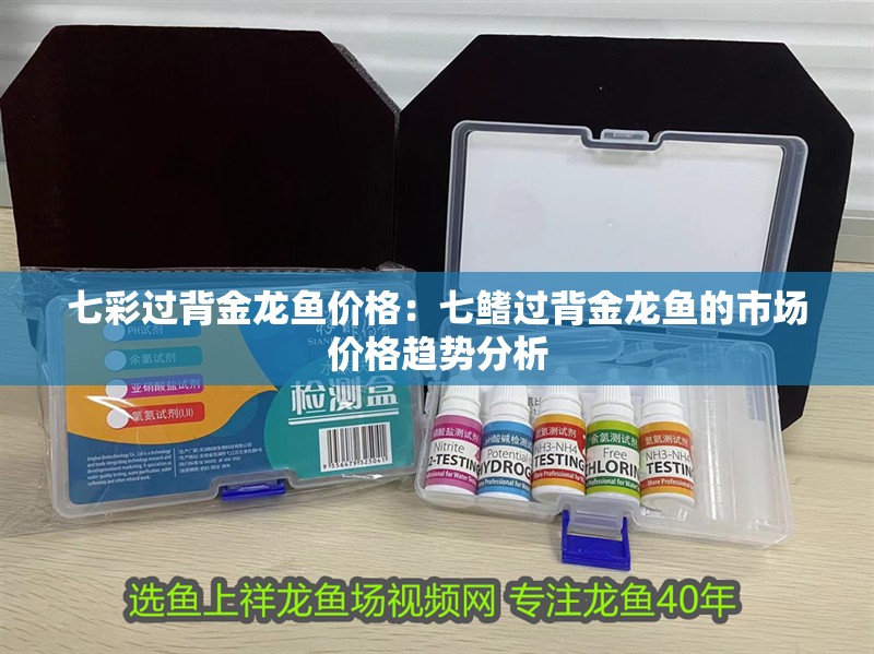 七彩過背金龍魚價格：七鰭過背金龍魚的市場價格趨勢分析