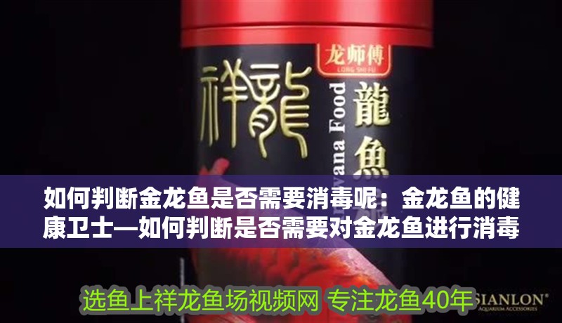 如何判斷金龍魚是否需要消毒呢：金龍魚的健康衛(wèi)士—如何判斷是否需要對金龍魚進行消毒？