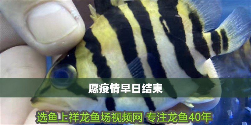 愿疫情早日結束