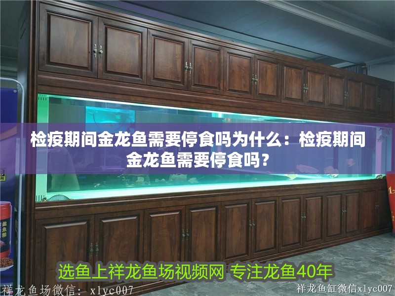 檢疫期間金龍魚(yú)需要停食嗎為什么：檢疫期間金龍魚(yú)需要停食嗎？ 檢疫期間金龍魚(yú)需要停食嗎為什么：檢疫期間金龍魚(yú)需要停食嗎？ 水族問(wèn)答