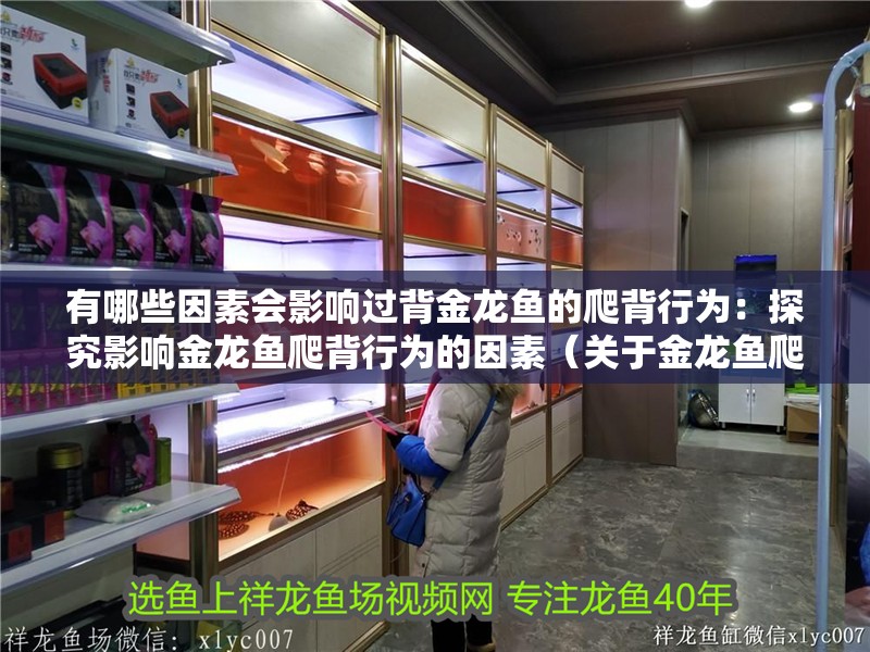 有哪些因素會影響過背金龍魚的爬背行為：探究影響金龍魚爬背行為的因素（關于金龍魚爬背行為的一些建議）