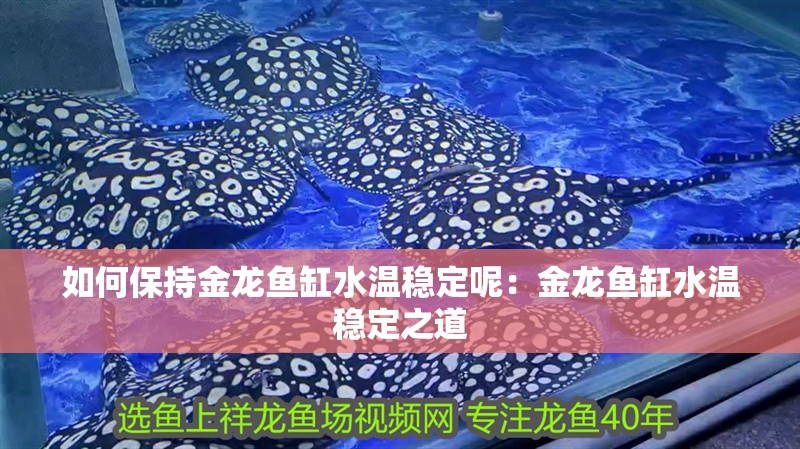 如何保持金龍魚缸水溫穩(wěn)定呢：金龍魚缸水溫穩(wěn)定之道