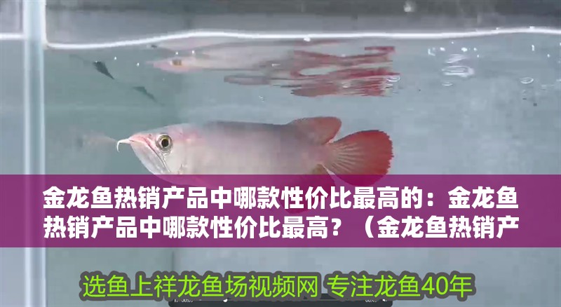 我的虎魚真菌感染了要怎么處理 金龍魚熱銷產(chǎn)品中哪款性價比最高的:金龍魚熱銷產(chǎn)品中哪款性價比最高?(金龍魚熱銷產(chǎn)品中哪款性價比最高) 水族問答 金龍魚熱銷產(chǎn)品中哪款性價比最高的:金龍魚熱銷產(chǎn)品中哪款性價比最高?(金龍魚熱銷產(chǎn)品中哪款性價比最高) 金龍魚熱銷產(chǎn)品中哪款性價比最高的:金龍魚熱銷產(chǎn)品中哪款性價比最高?(金龍魚熱銷產(chǎn)品中哪款性價比最高) 水族問答