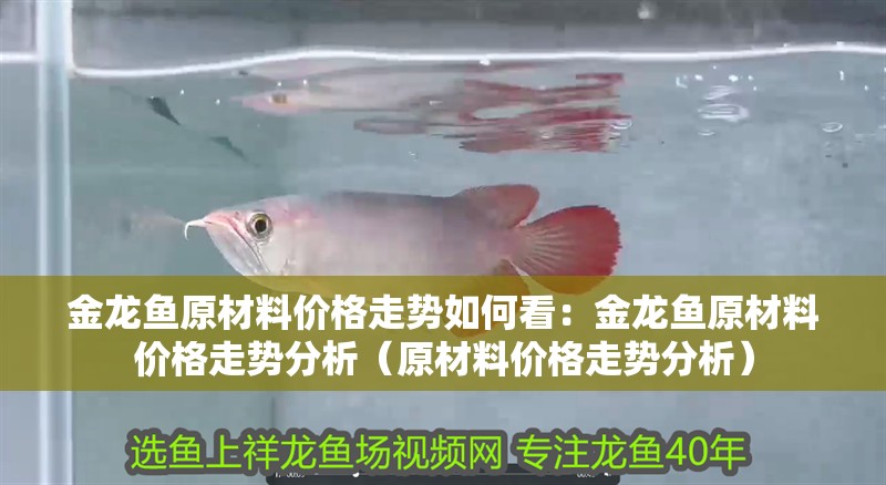 金龍魚原材料價格走勢如何看：金龍魚原材料價格走勢分析（原材料價格走勢分析）