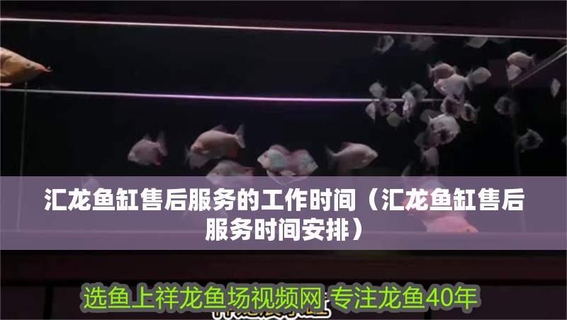 匯龍魚(yú)缸售后服務(wù)的工作時(shí)間（匯龍魚(yú)缸售后服務(wù)時(shí)間安排）