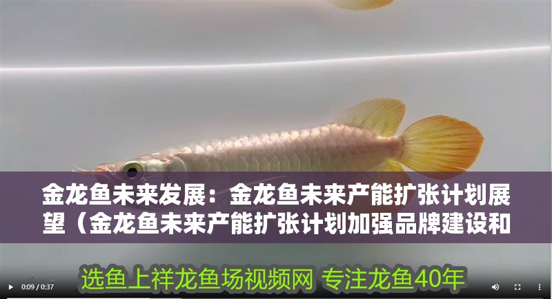 金龍魚未來發(fā)展：金龍魚未來產(chǎn)能擴(kuò)張計劃展望（金龍魚未來產(chǎn)能擴(kuò)張計劃加強(qiáng)品牌建設(shè)和市場營銷策略）