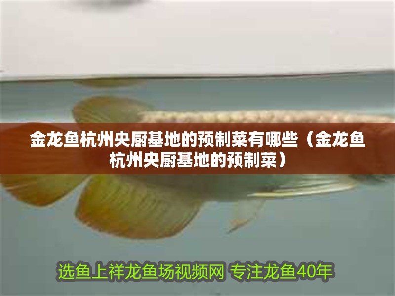 金龍魚(yú)<strong><mark>杭州</mark></strong>央廚基地的預(yù)制菜有哪些（金龍魚(yú)<strong><mark>杭州</mark></strong>央廚基地的預(yù)制菜）