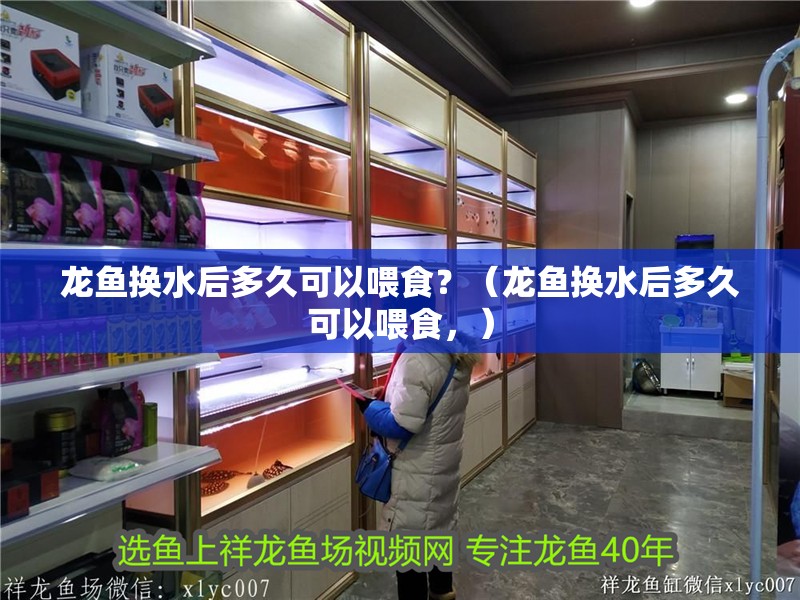 龍魚換水后多久可以喂食？（龍魚換水后多久可以喂食，）
