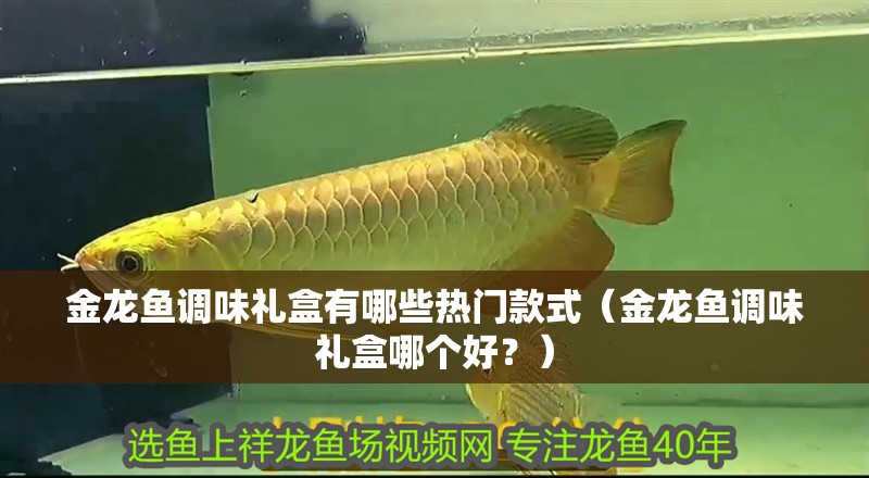 金龍魚調味禮盒有哪些熱門款式（金龍魚調味禮盒哪個好？）