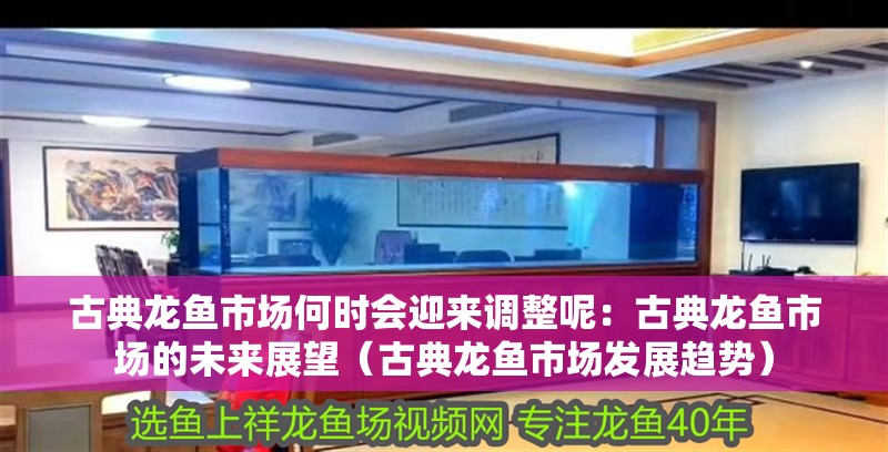 古典龍魚市場何時會迎來調(diào)整呢：古典龍魚市場的未來展望（古典龍魚市場發(fā)展趨勢）