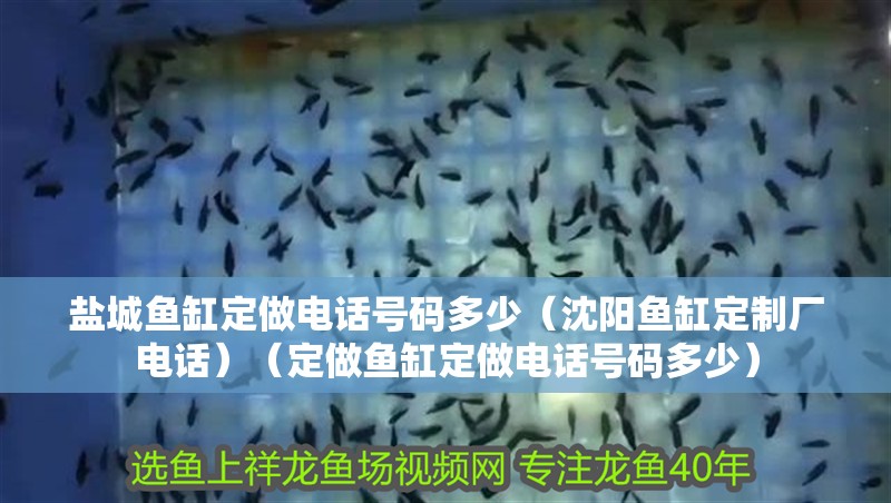 鹽城魚缸定做電話號碼多少（沈陽魚缸定制廠電話）（定做魚缸定做電話號碼多少）