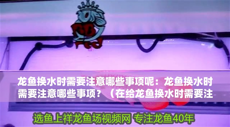 龍魚換水時需要注意哪些事項呢：龍魚換水時需要注意哪些事項？（在給龍魚換水時需要注意的一些事項）
