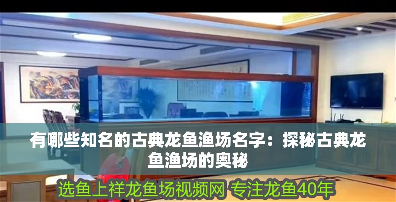 有哪些知名的古典龍魚漁場名字：探秘古典龍魚漁場的奧秘