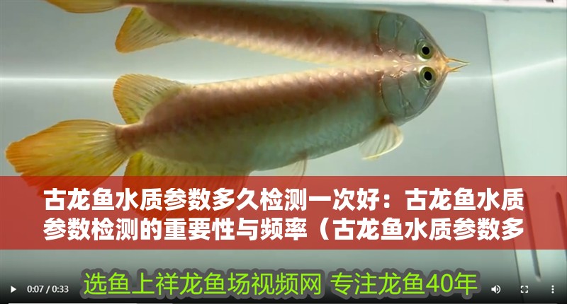 古龍魚水質參數多久檢測一次好：古龍魚水質參數檢測的重要性與頻率（古龍魚水質參數多久檢測一次古龍魚水質參數多久檢測一次）