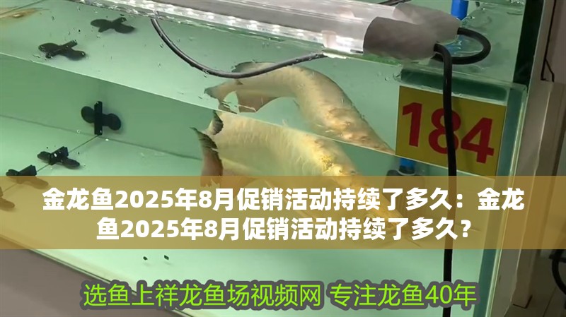 金龍魚2025年8月促銷活動(dòng)持續(xù)了多久：金龍魚2025年8月促銷活動(dòng)持續(xù)了多久？