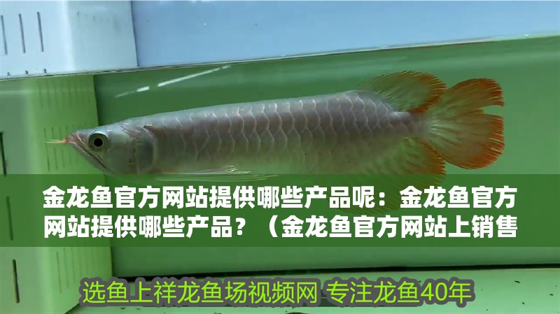 金龍魚官方網站提供哪些產品呢：金龍魚官方網站提供哪些產品？（金龍魚官方網站上銷售的調味品種類繁多金龍魚官方網站提供的產品）