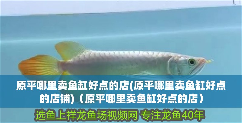原平哪里賣魚缸好點的店(原平哪里賣魚缸好點的店鋪)（原平哪里賣魚缸好點的店）
