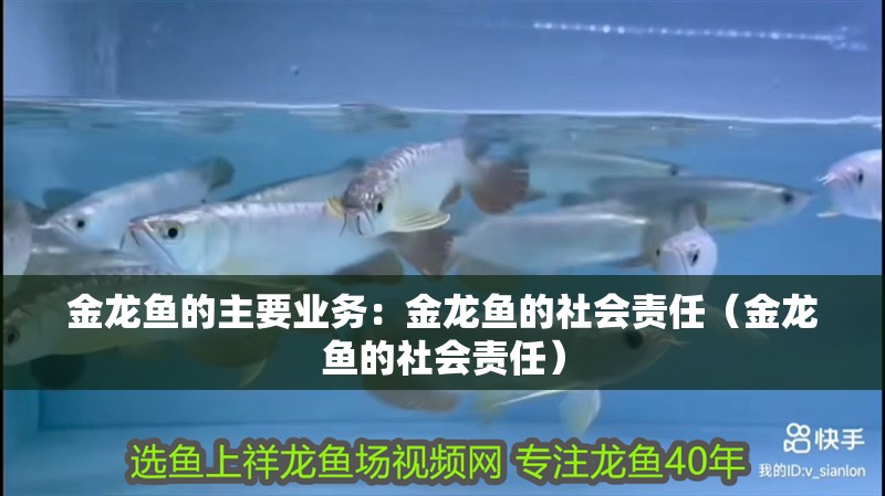 金龍魚的主要業務：金龍魚的社會責任（金龍魚的社會責任）