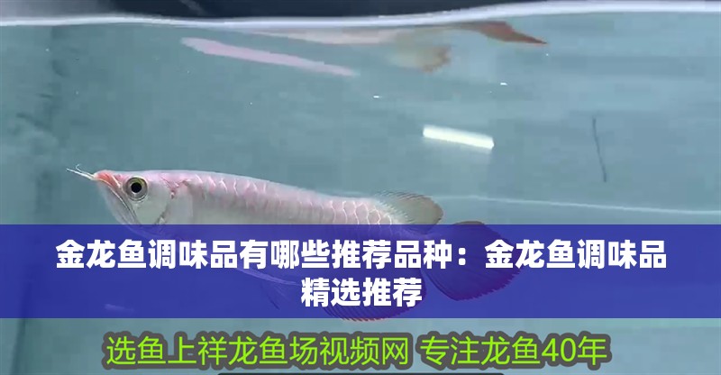 金龍魚調味品有哪些推薦品種：金龍魚調味品精選推薦