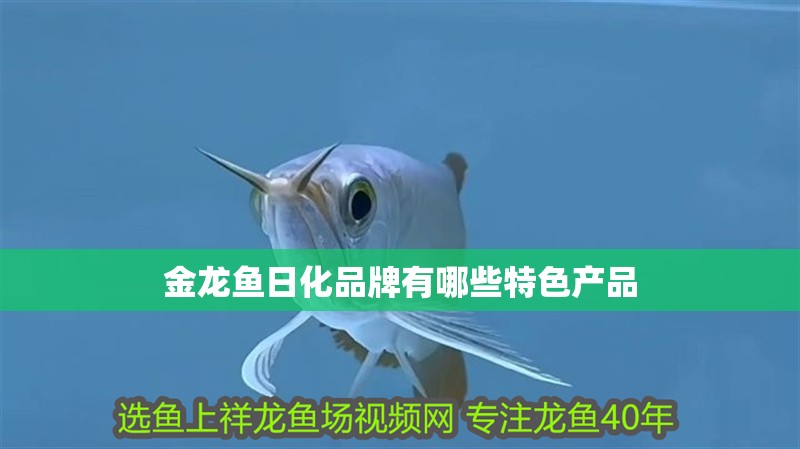 金龍魚日化品牌有哪些特色產品