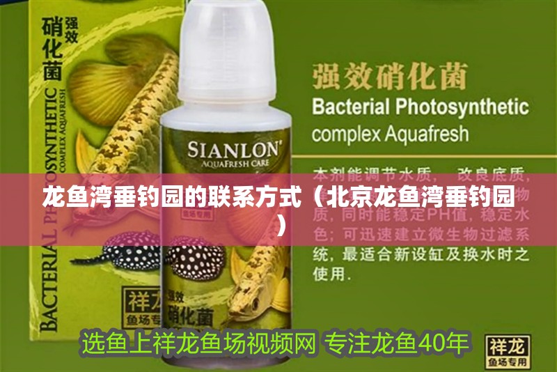 龍魚灣垂釣園的聯系方式（<strong><mark>北京</mark></strong>龍魚灣垂釣園）