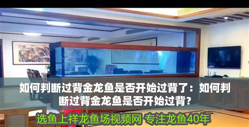 如何判斷過背金龍魚是否開始過背了：如何判斷過背金龍魚是否開始過背？
