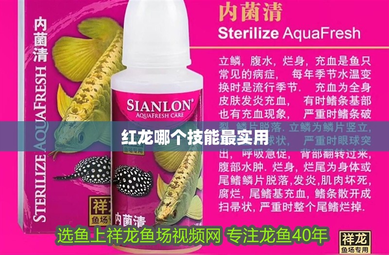 紅龍哪個技能最實用