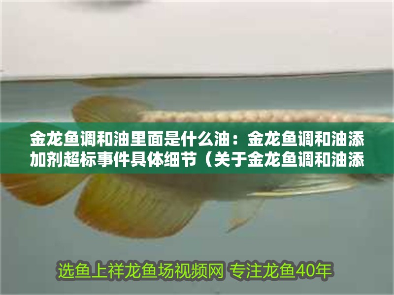 金龍魚調和油里面是什么油：金龍魚調和油添加劑超標事件具體細節（關于金龍魚調和油添加劑超標事件的建議）