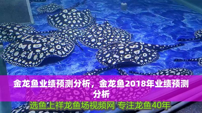 金龍魚業績預測分析，金龍魚2018年業績預測分析