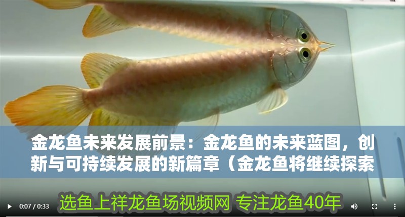 金龍魚未來發(fā)展前景：金龍魚的未來藍(lán)圖，創(chuàng)新與可持續(xù)發(fā)展的新篇章（金龍魚將繼續(xù)探索新的發(fā)展方向）
