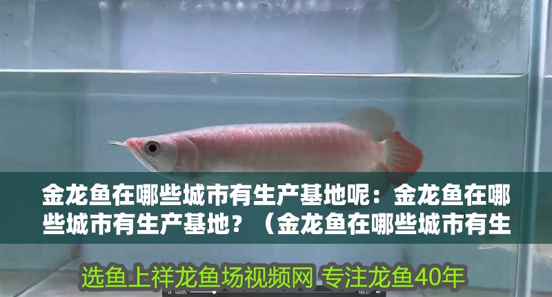 金龍魚在哪些城市有生產基地呢：金龍魚在哪些城市有生產基地？（金龍魚在哪些城市有生產基地）