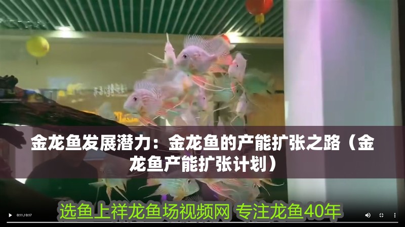 金龍魚(yú)發(fā)展?jié)摿Γ航瘕堲~(yú)的產(chǎn)能擴(kuò)張之路（金龍魚(yú)產(chǎn)能擴(kuò)張計(jì)劃） 金龍魚(yú)發(fā)展?jié)摿Γ航瘕堲~(yú)的產(chǎn)能擴(kuò)張之路（金龍魚(yú)產(chǎn)能擴(kuò)張計(jì)劃） 水族問(wèn)答