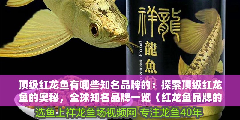頂級紅龍魚有哪些知名品牌的：探索頂級紅龍魚的奧秘，全球知名品牌一覽（紅龍魚品牌的自然條件為紅龍魚的生長提供了理想環境）