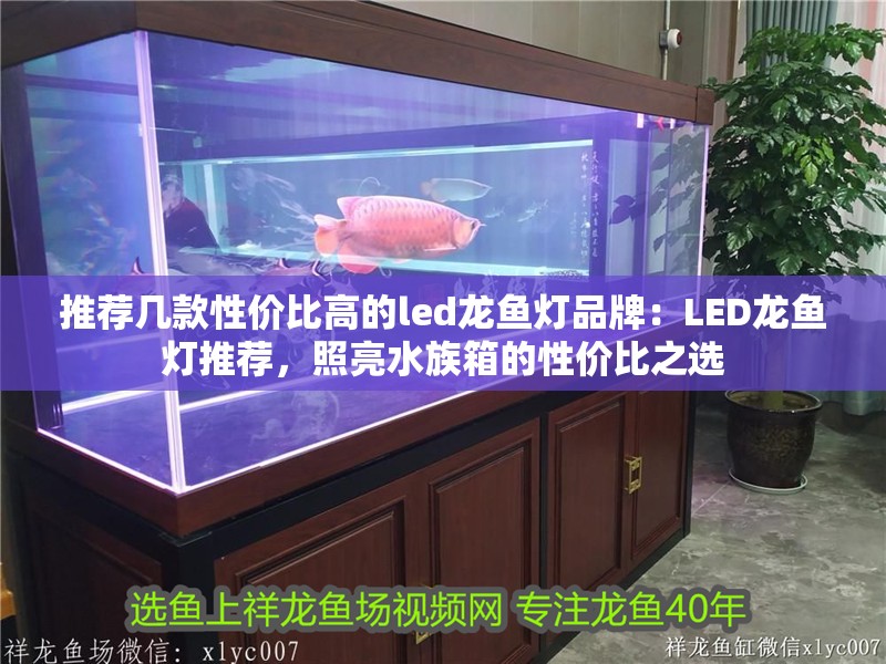 推薦幾款性價比高的led龍魚燈品牌：LED龍魚燈推薦，照亮水族箱的性價比之選