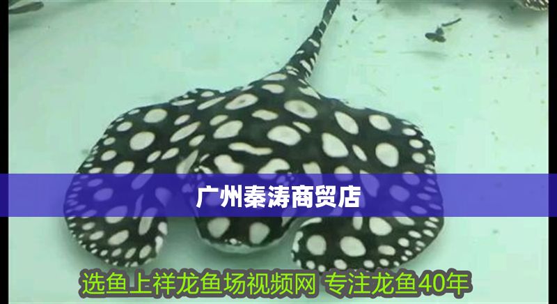 廣州秦濤商貿(mào)店