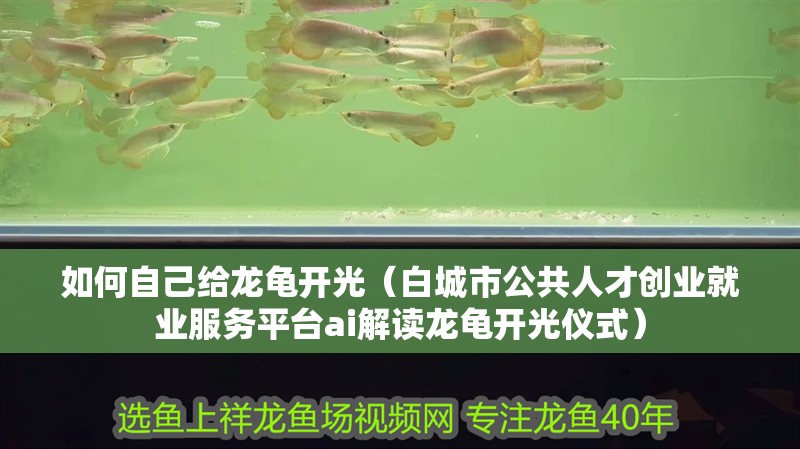 如何自己給龍龜開光（白城市公共人才創業就業服務平臺ai解讀龍龜開光儀式）