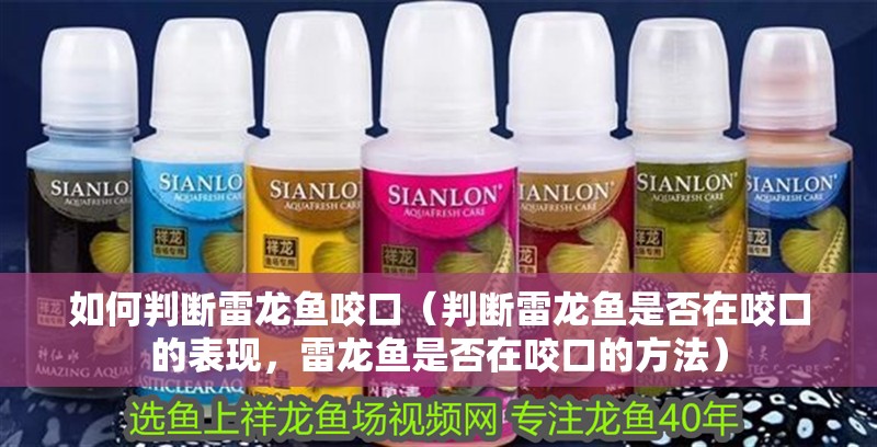 如何判斷雷龍魚咬口（判斷雷龍魚是否在咬口的表現(xiàn)，雷龍魚是否在咬口的方法）