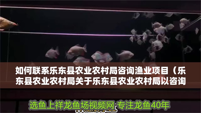 如何聯(lián)系樂東縣農(nóng)業(yè)農(nóng)村局咨詢漁業(yè)項目（樂東縣農(nóng)業(yè)農(nóng)村局關(guān)于樂東縣農(nóng)業(yè)農(nóng)村局以咨詢漁業(yè)項目的公告）