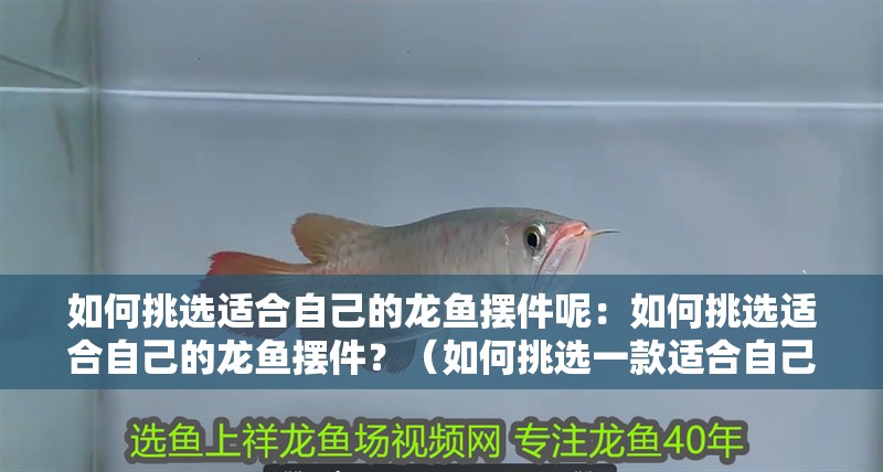 龍魚干蝦有營養嗎 如何挑選適合自己的龍魚擺件呢:如何挑選適合自己的龍魚擺件?(如何挑選一款適合自己的龍魚擺件) 水族問答 如何挑選適合自己的龍魚擺件呢:如何挑選適合自己的龍魚擺件?(如何挑選一款適合自己的龍魚擺件) 如何挑選適合自己的龍魚擺件呢:如何挑選適合自己的龍魚擺件?(如何挑選一款適合自己的龍魚擺件) 水族問答