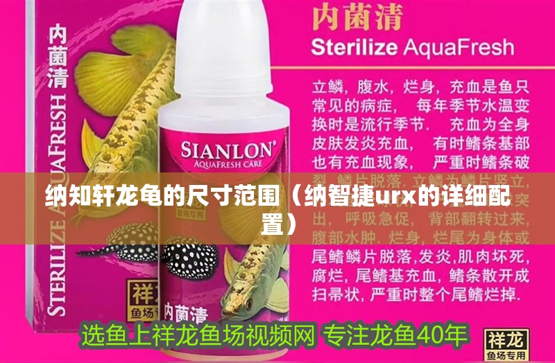 納知軒龍龜?shù)某叽绶秶{智捷urx的詳細(xì)配置）