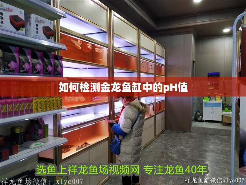 如何檢測金龍魚缸中的pH值